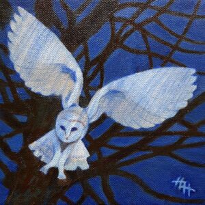 Barn Owl